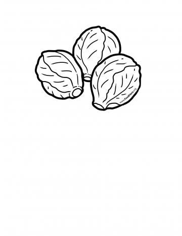 Brussels Sprouts Blackline 