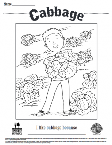 Cabbage Coloring Sheet