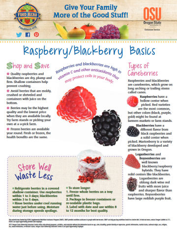 Cane Berries Monthly Magazine