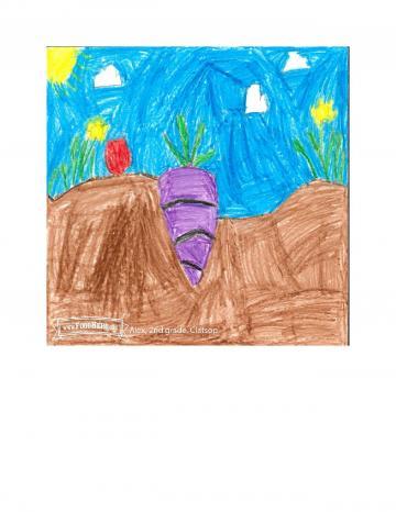 Kids Art Winners - Carrots
