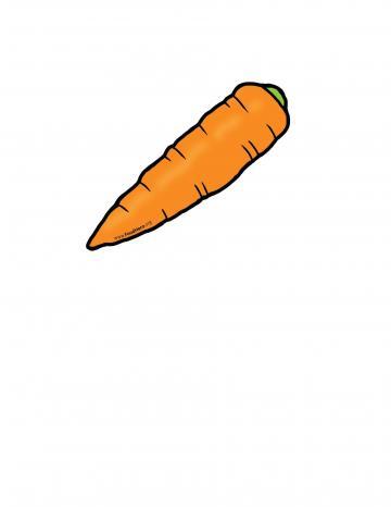 Carrot Color Illustration