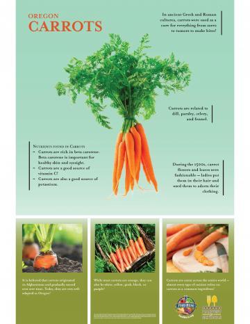 Carrots Oregon Harvest Poster