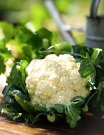Head of Cauliflower