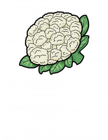 Cauliflower Illustration