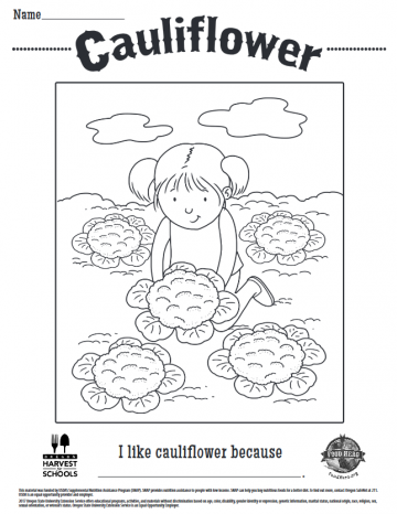Cauliflower Coloring Sheet