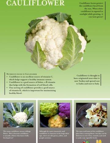 Cauliflower Oregon Harvest Poster