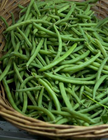 Harvested Green Beans