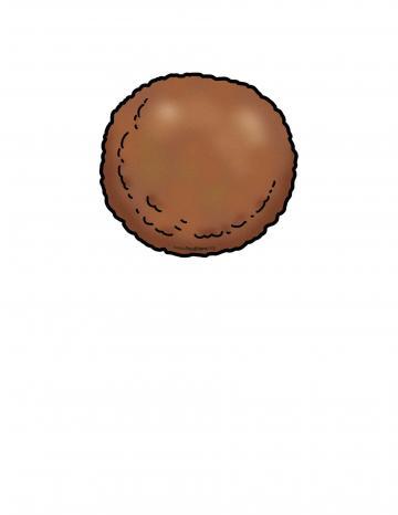 Meatball Illustration