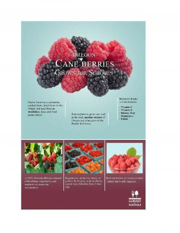 Cane Berries Oregon Harvest Poster