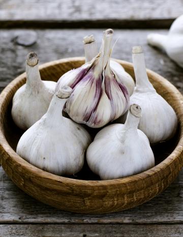 Garlic herb.