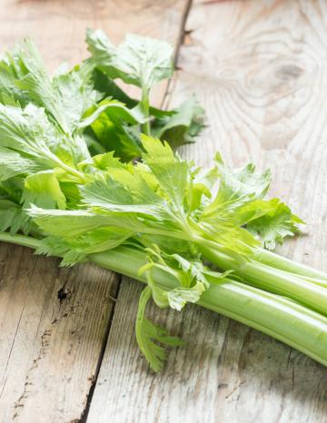 Celery Recipes 