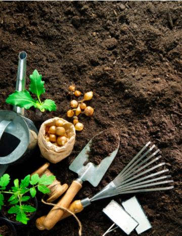 Soil, tools, and plants