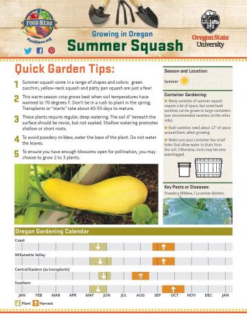 Summer Squash Garden Monthly - English