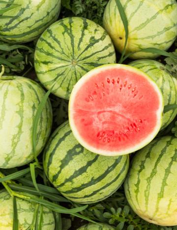 Watermelon patch