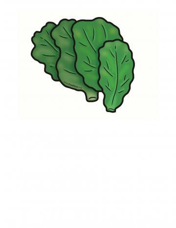Spinach Illustration