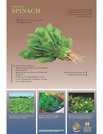 Spinach Oregon Harvest Poster