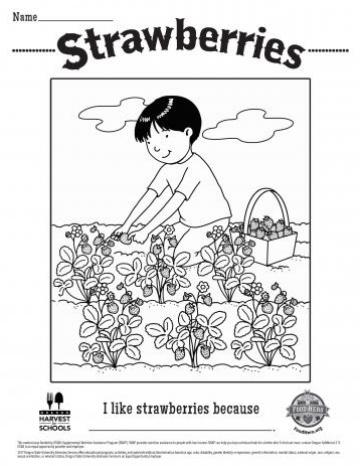 Strawberries | Food Hero
