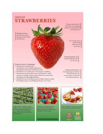 Strawberries Oregon Harvest Poster