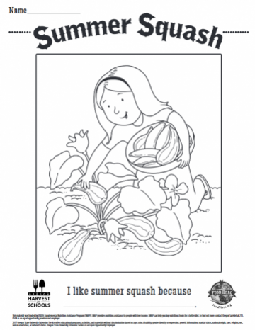 Summer Squash Coloring Sheet