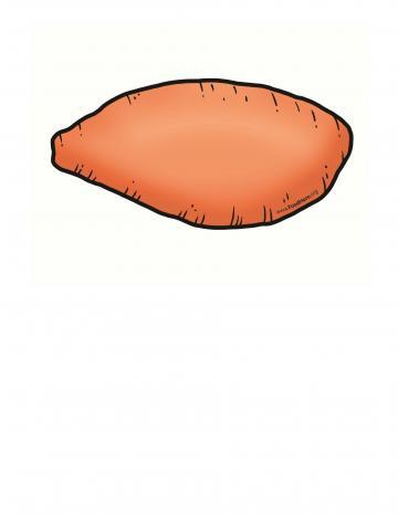 Sweet Potato Illustration