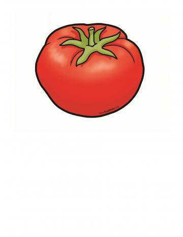 Tomato Illustration
