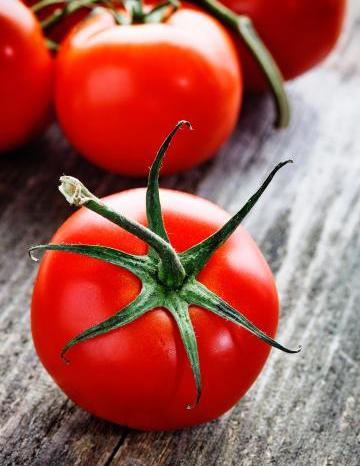 Image of Tomatoes 