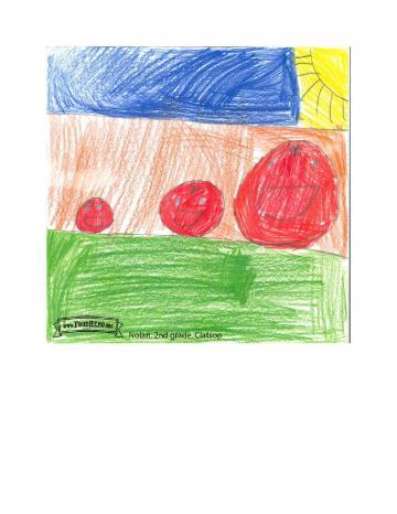 Kids Art Winners - Tomatoes