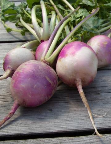 Image of Turnips