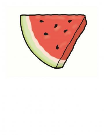 Watermelon Illustration