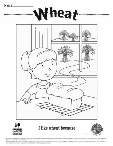 Image of Wheat Coloring Page