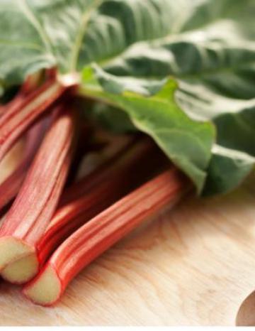 Rhubarb Recipes