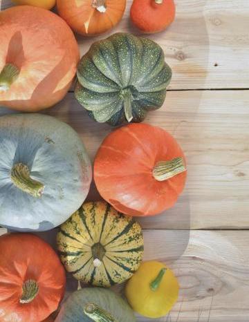 Colorful Winter Squashes
