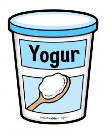 Yogurt Container - Spanish