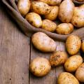 Potatoe Recipes