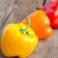 Bell Peppers Recipes