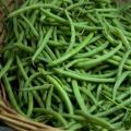 Harvested Green Beans