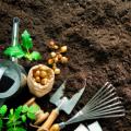 Soil, tools, and plants