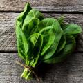 Image of Spinach 