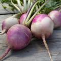 Image of Turnips
