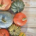 Colorful Winter Squashes