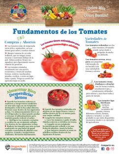 Imagen 1 del Mensual de los Tomates 