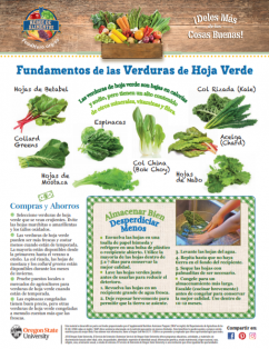 Heroe de Alimentos sobre Verduras de Hoja Verde  pagina 1 